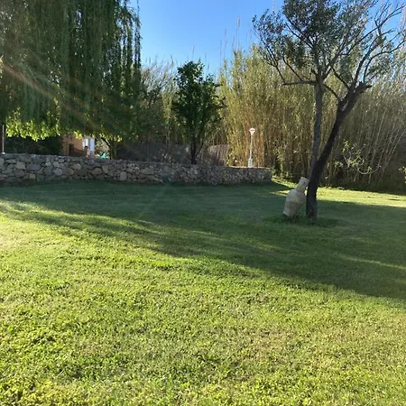 Palazzi 1 *