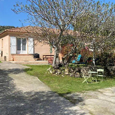 Apartment Palazzi 1 L'Ile-Rousse (Corsica)
