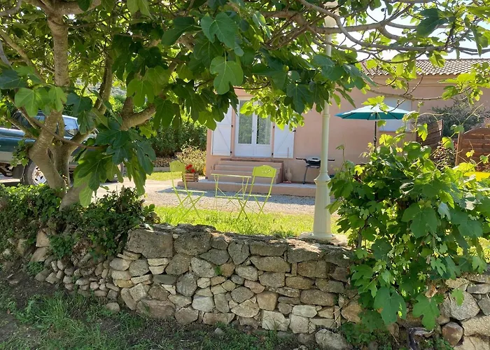 Palazzi 1 Apartment *